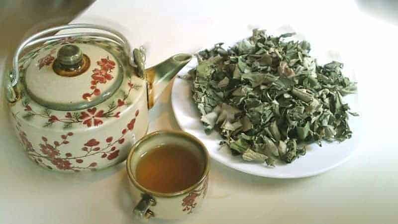 Cách pha trà lá sen giúp giảm cân